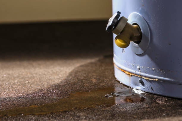Best 24/7 water damage repair  in Rothschild, WI