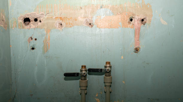 Best Flood restoration services  in Rothschild, WI