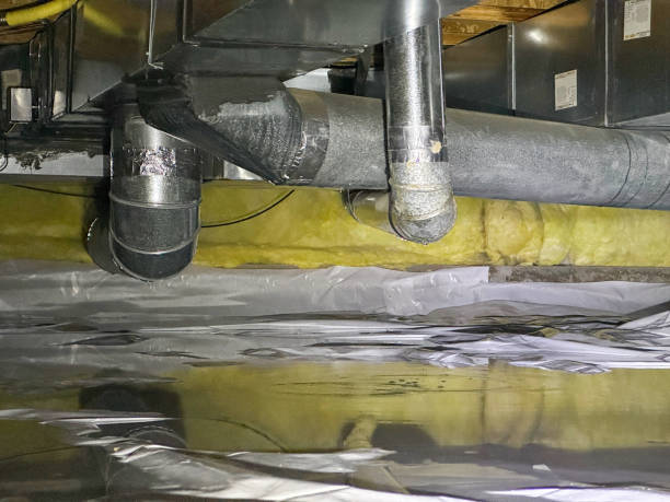 Best Flood damage cleanup  in Rothschild, WI