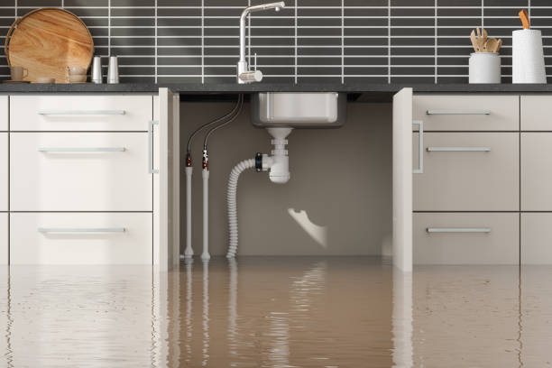 Best Water damage restoration cost  in Rothschild, WI