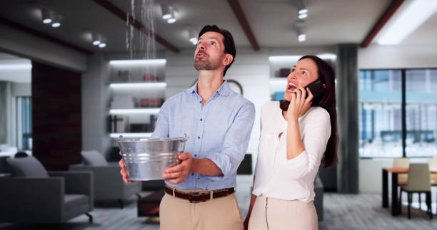 Best Professional water damage repair  in Rothschild, WI