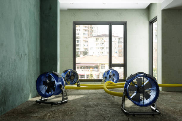 Best Residential water damage restoration  in Rothschild, WI