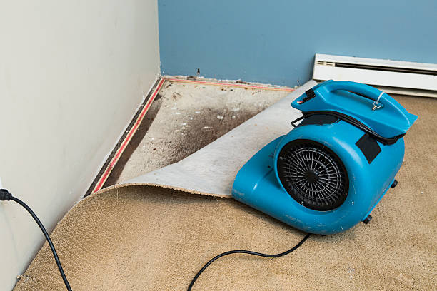 Best Mold removal after water damage  in Rothschild, WI